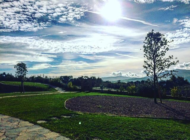 Podere Ortaglia Di Sopra Villa Castiglion Fiorentino Kamer foto